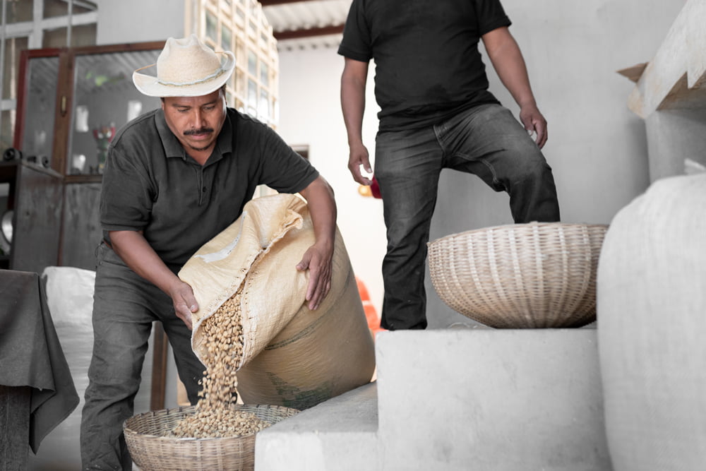 an-hispanic-farmer-is-dropping-coffee-beans-before-2022-10-05-21-02-39-utc International Money Transfers - Everpayer - Maryaland