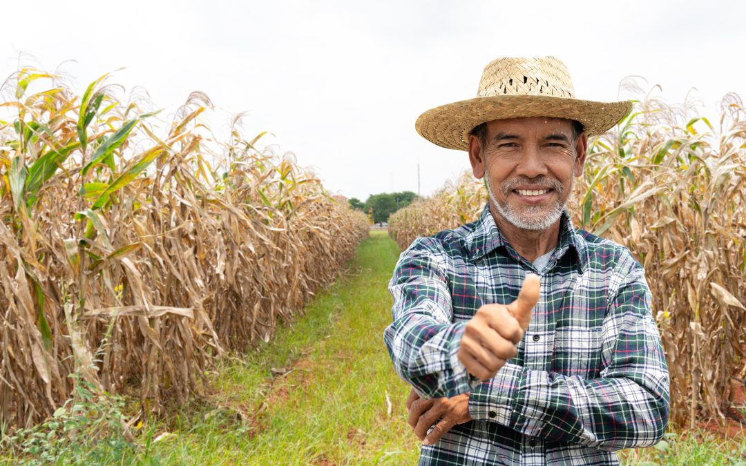 international transfers